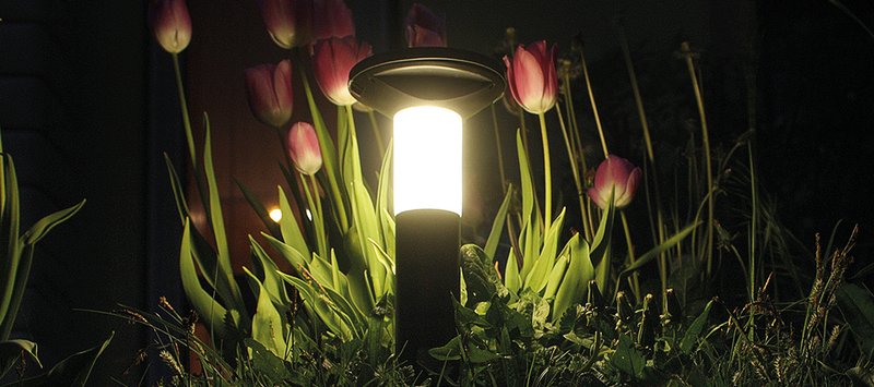 Une balise allumée la nuit au milieu des tulipes