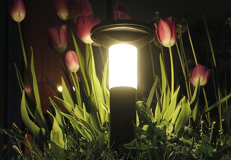 Balise solaire au milieu de tulipes