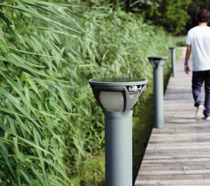 Chemin en bois dans la végétation avec 3 lampadaires solaires sur le côté