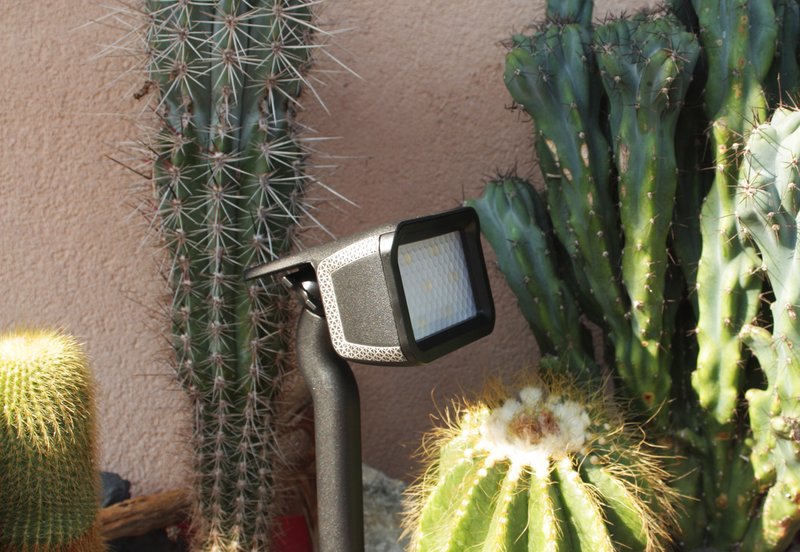 Un spot vu de jour planté au milieu de cactus