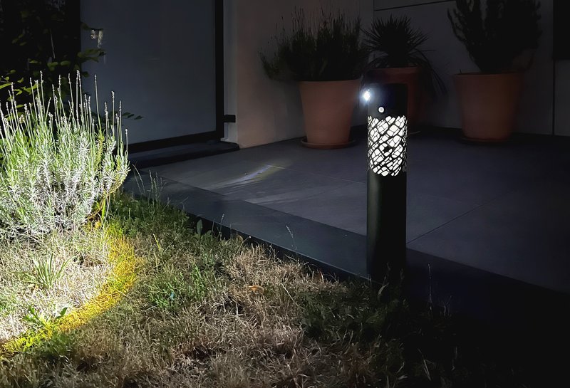 Une balise qui illumine un buisson la nuit.