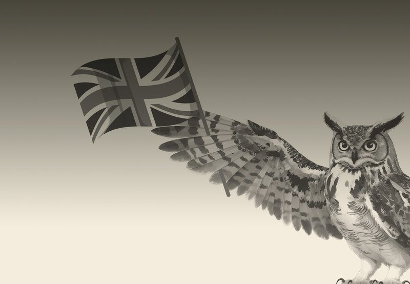 Owl holding a British flag