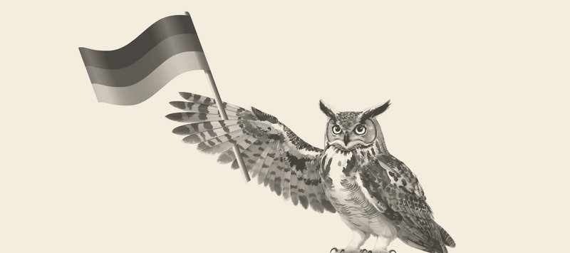 Eine Eule, die eine deutsche Flagge hält.