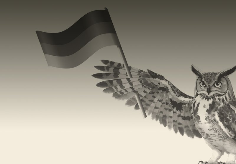 Eule mit deutscher Flagge