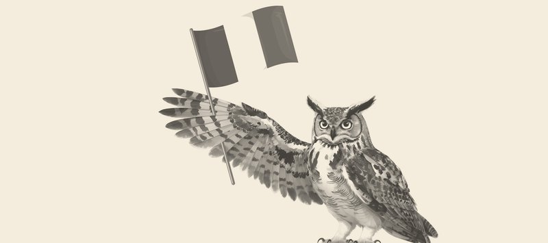 Un gufo che regge una bandiera tedesca.