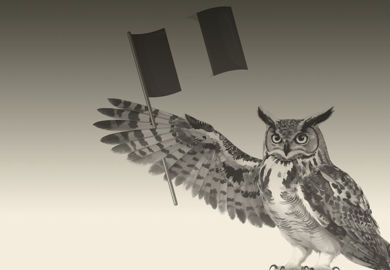 Gufo che tiene una bandiera italiana