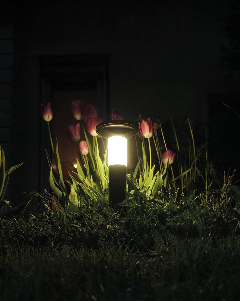 Une balise allumée la nuit au milieu des tulipes