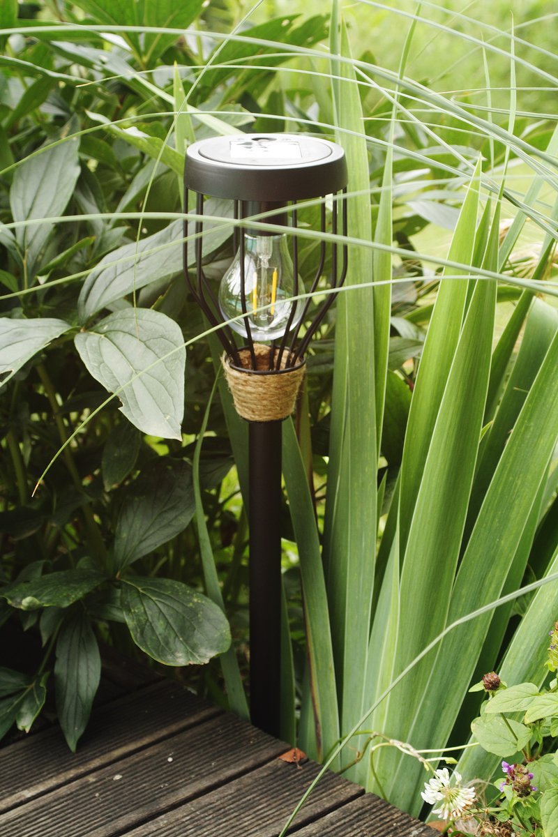 Une balise solaire vue de jour au milieu de la végétation